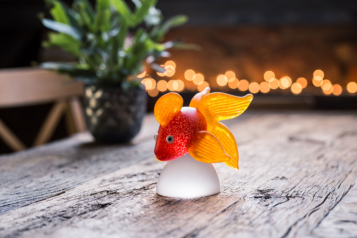ORANDA – Bild 5