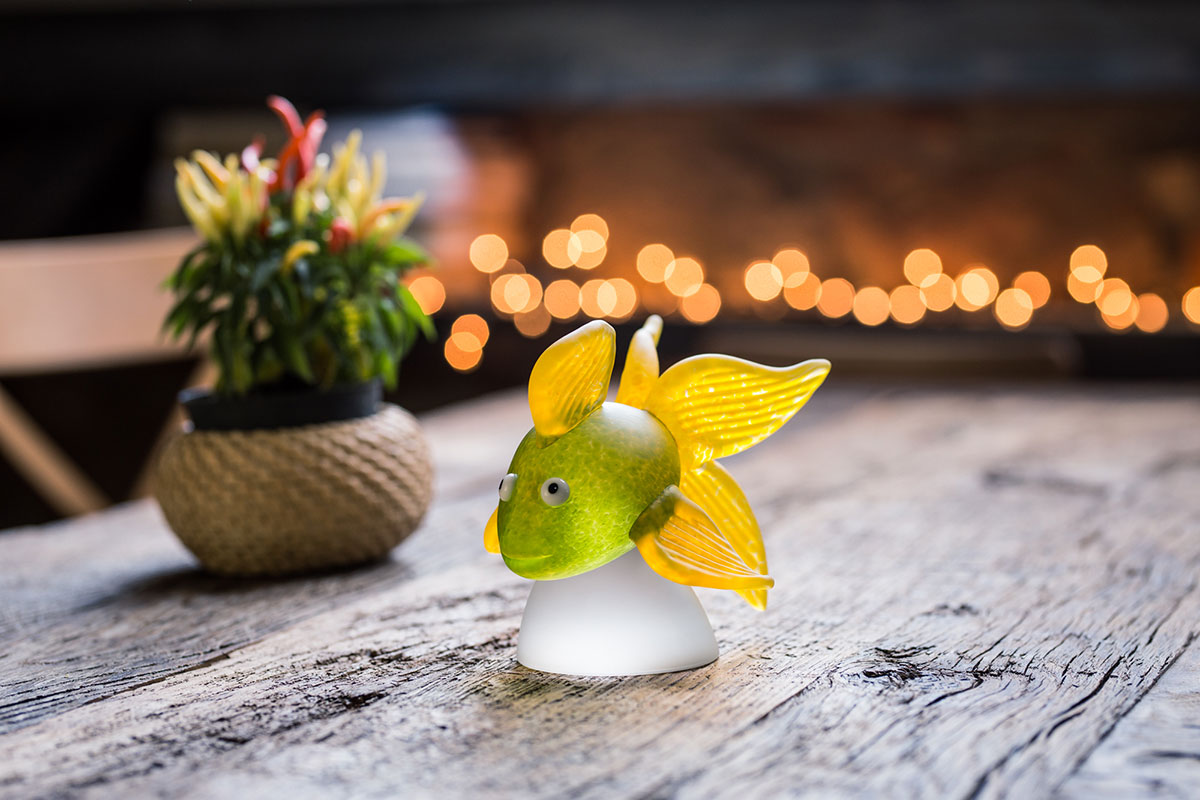 ORANDA – Bild 6