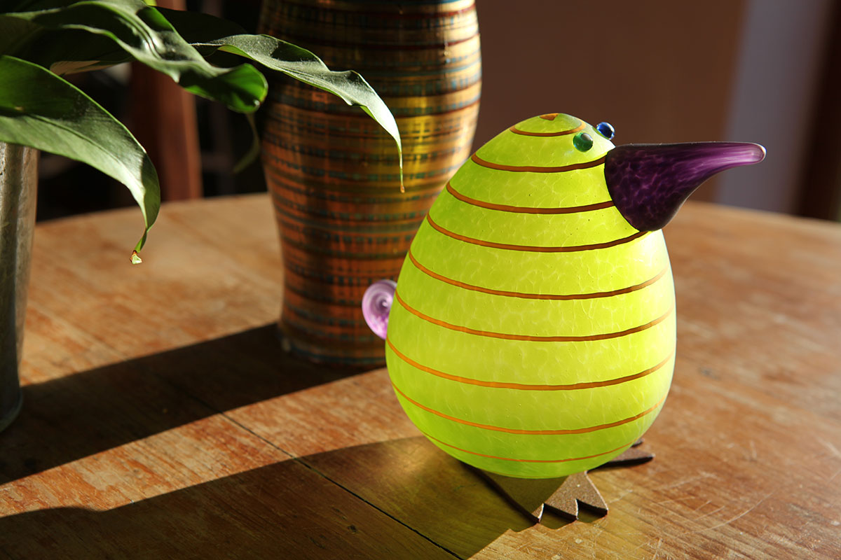 KIWI EGG – Bild 3