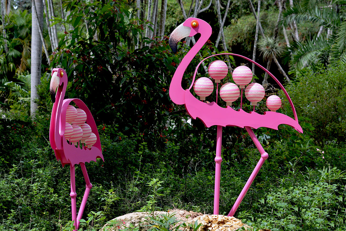 FLAMINGO – Bild 2