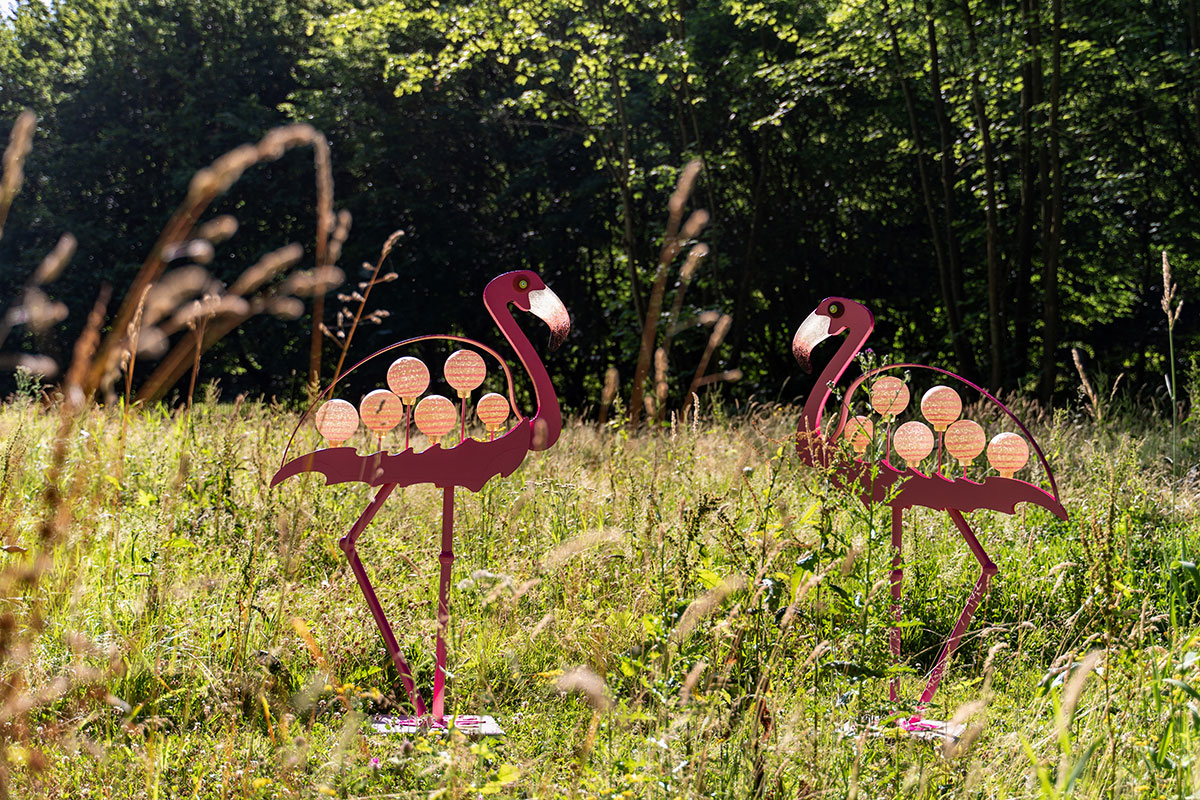 FLAMINGO – Bild 6