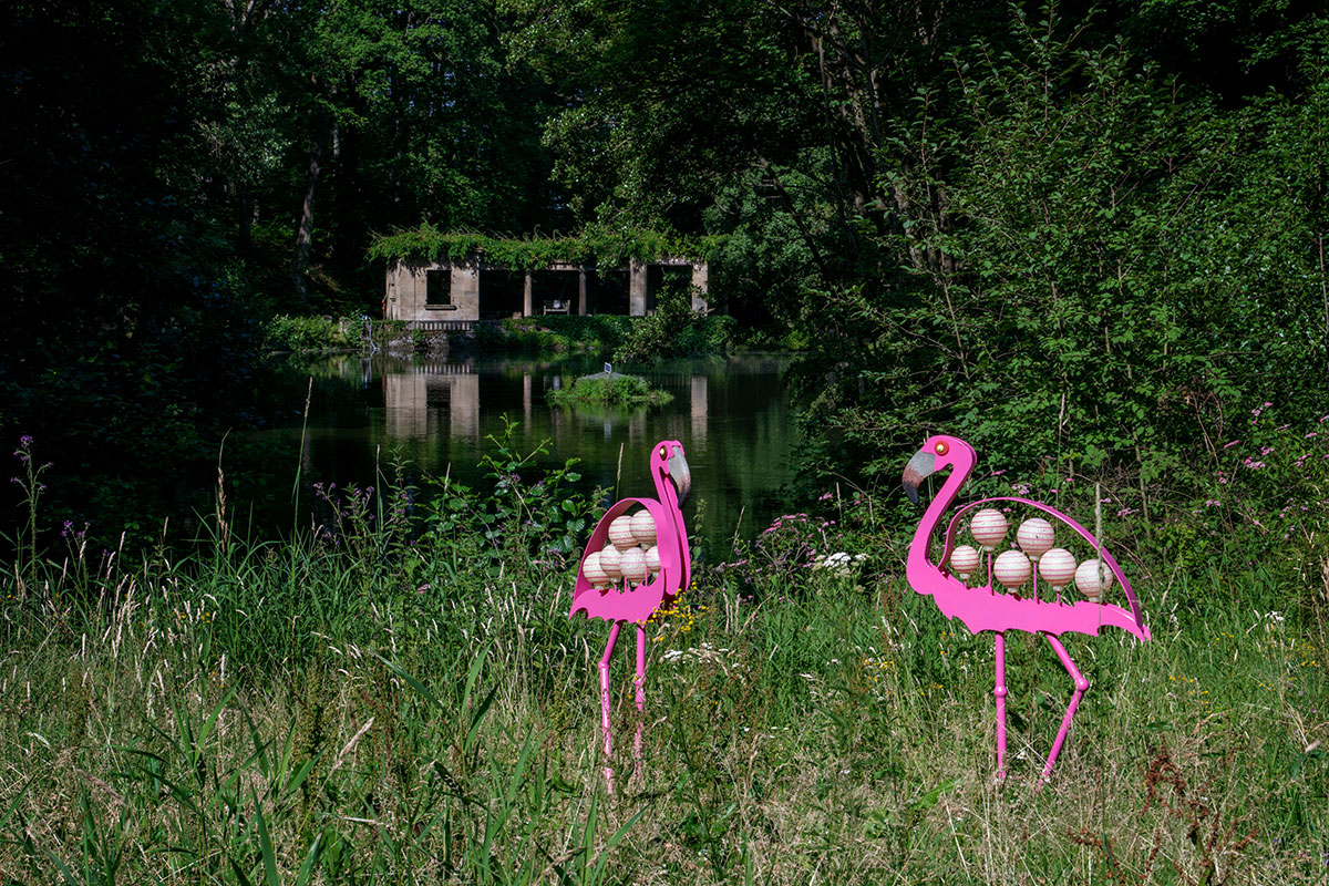 FLAMINGO – Bild 4