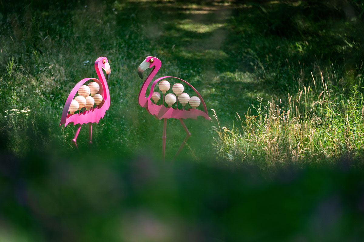 FLAMINGO – Bild 5