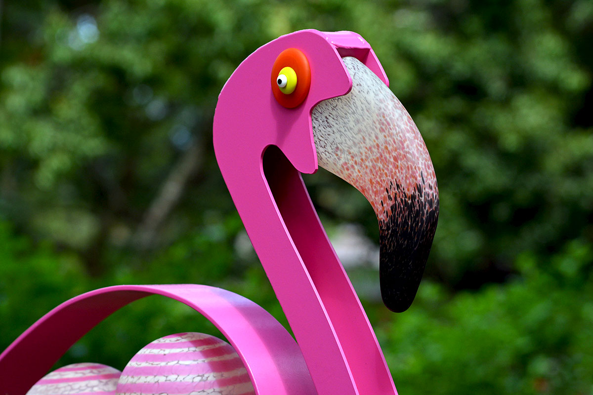 FLAMINGO – Bild 3