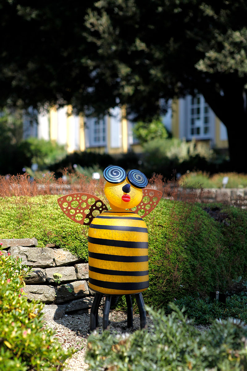 SUZY BEE – Bild 5