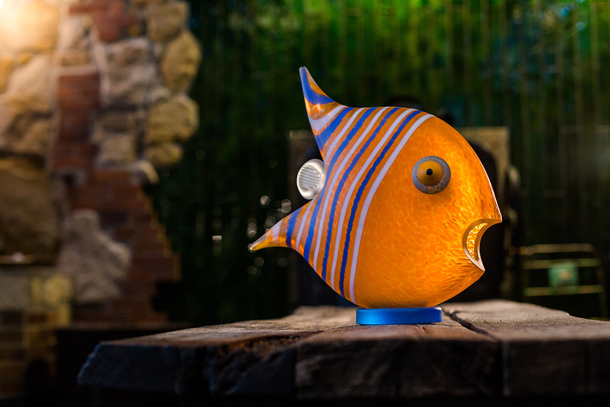 ANGELFISH – Bild 7