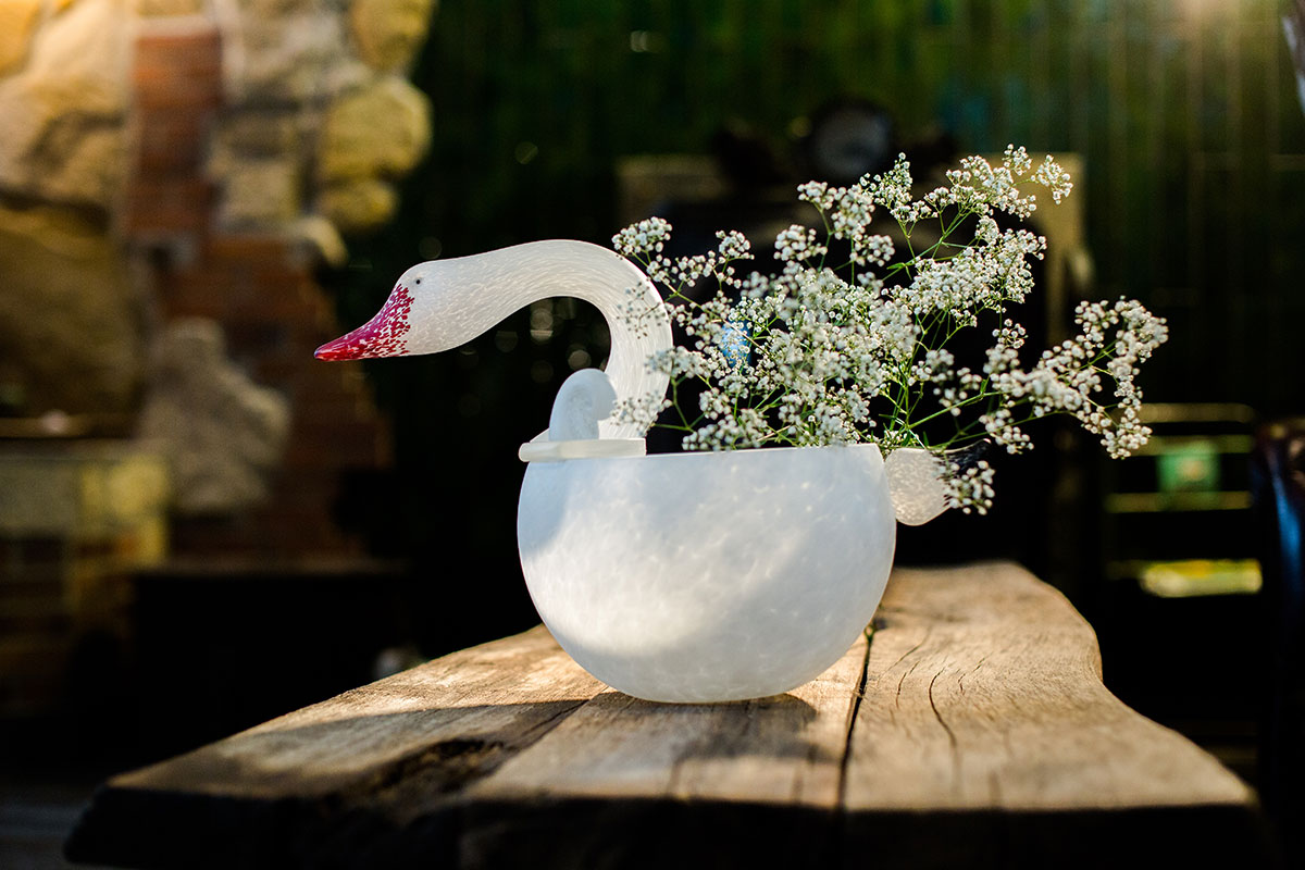 CYGNET – Bild 5